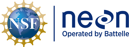 NEON logo 2